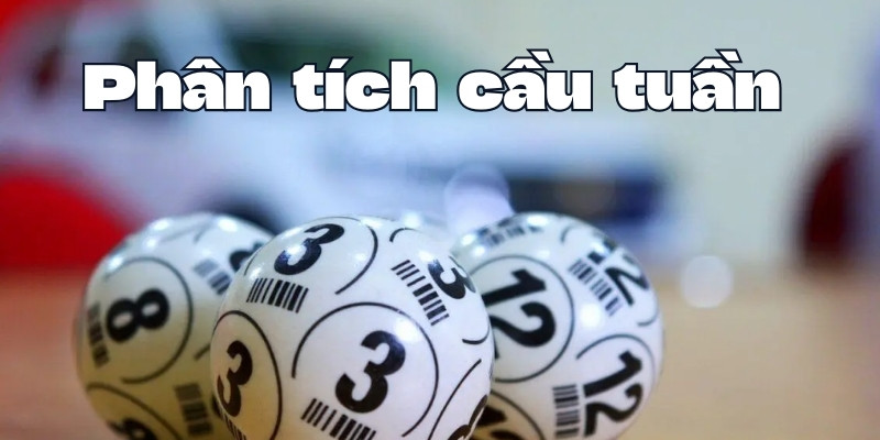 Bắt lô theo tuần từ Xóc Đĩa: Cách chơi dành cho hội viên mới 4 Kỹ năng phân tích dẫn đến chiến thắng