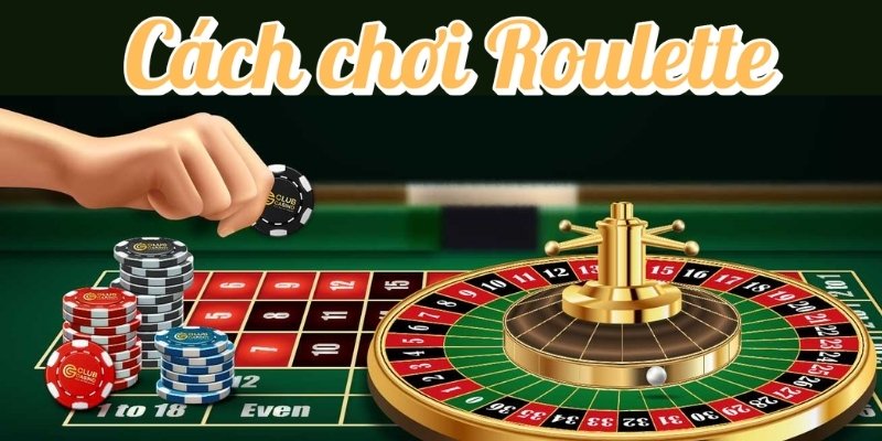 Cách chơi Roulette từ Xóc Đĩa: Hiểu đúng cách tham gia game 3 Cách chơi Roulette rèn luyện kỹ thuật và cảm xúc