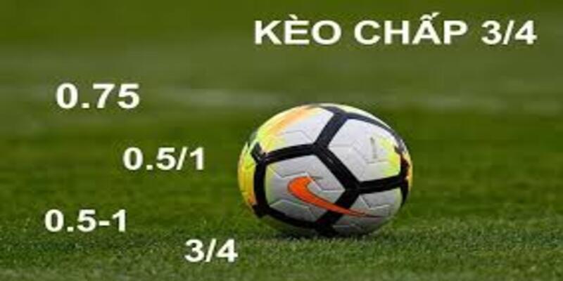 Cách xem kèo bóng đá chi tiết tại Xóc Đĩa cho người mới bắt đầu 3 Tiết lộ cách xem kèo bóng đá dành cho người mới