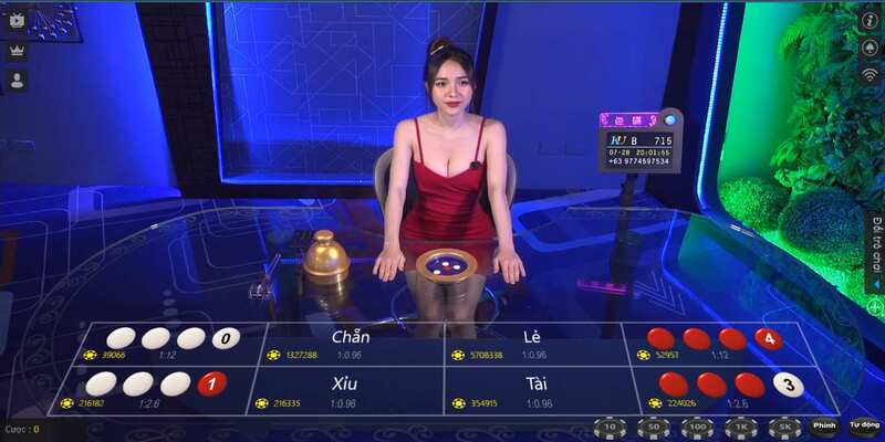 Cược Xóc Đĩa theo cầu: Chiến thuật bao tăng cơ hội thắng 4 Điểm cần chú ý khi dùng dạng cược cầu tại Xóc Đĩa