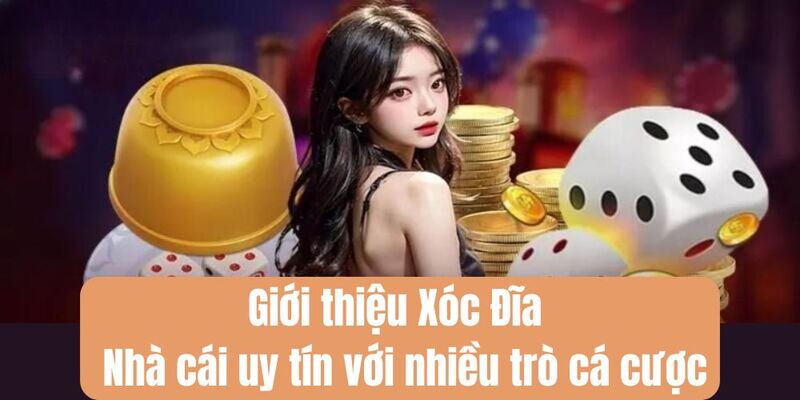 Giới thiệu Xóc Đĩa - Nhà cái uy tín với nhiều trò cá cược 3 Lợi ích nổi bật mà người chơi nhận được tại nhà cái Xóc Đĩa