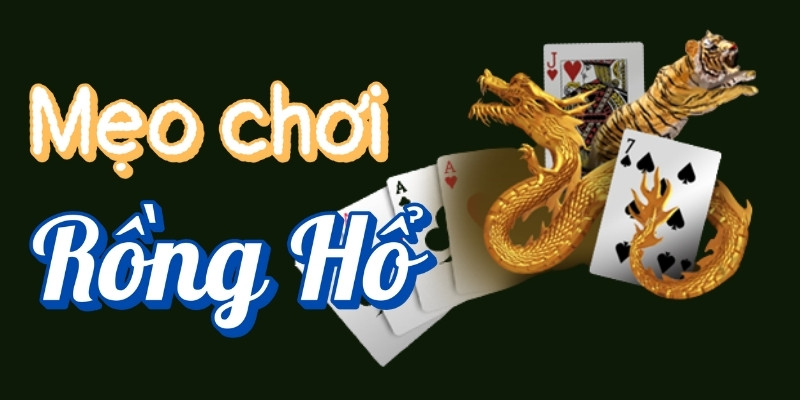 Mẹo chơi Rồng Hổ từ Xóc Đĩa: Bí quyết nâng cao tỷ lệ thắng 1 meo choi rong ho 1