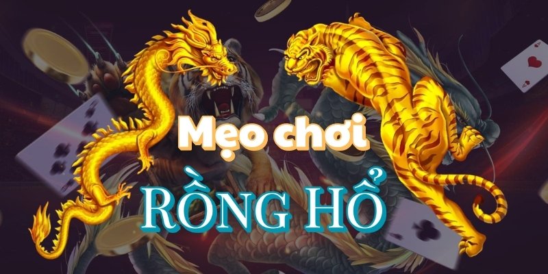Mẹo chơi Rồng Hổ từ Xóc Đĩa: Bí quyết nâng cao tỷ lệ thắng 4 Mẹo chơi rồng hổ từ Xóc Đĩa